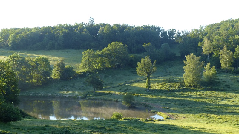 Rando et botanique au Pays Vert et bleu