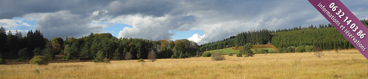 appaat millevaches paysage landes