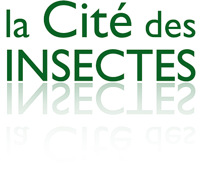 logo cite des insectes