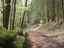 Un chemin dans les Monts d'Ambazac