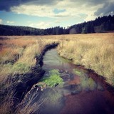 Paysage du plateau de Millevaches